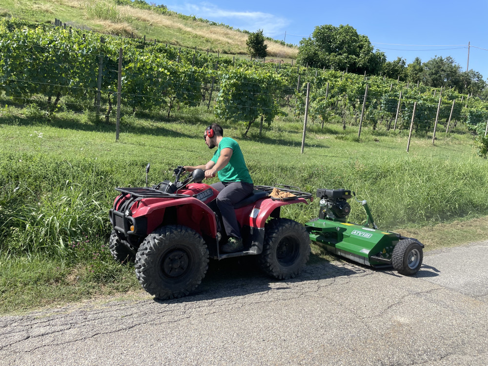 IMG 3148