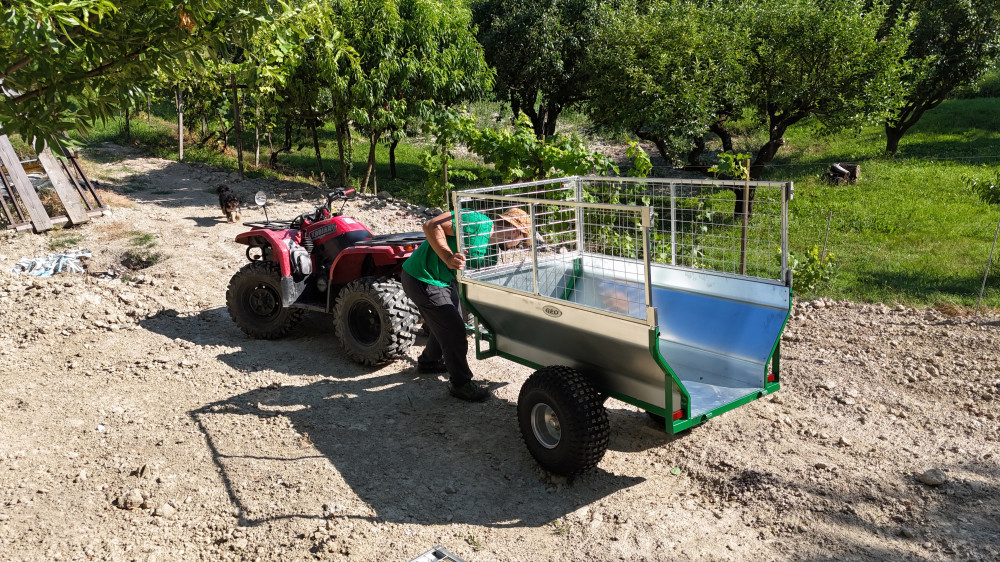 DJI 20250703171846 0261 D.JPG